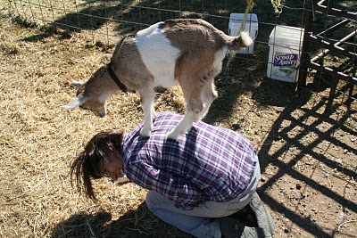 Jill Cox, Part Time Astronaut Full Time Goat Wrangler | Goat People